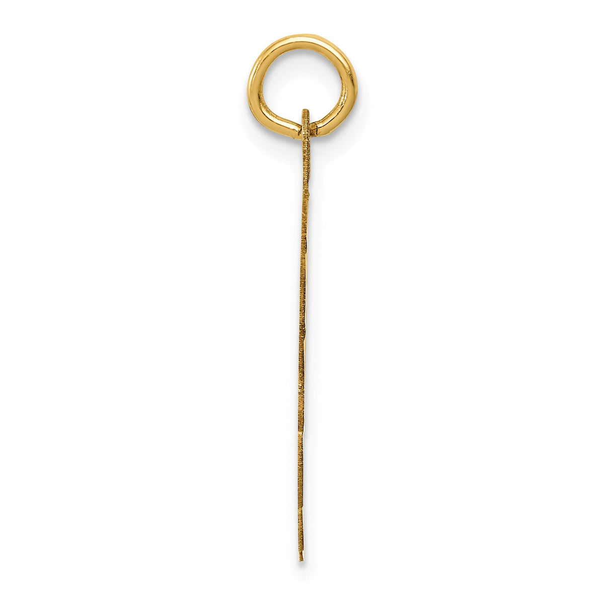 Alternate view of the 14k Yellow Gold Wrestling Disc Pendant, 20mm by The Black Bow Jewelry Co.