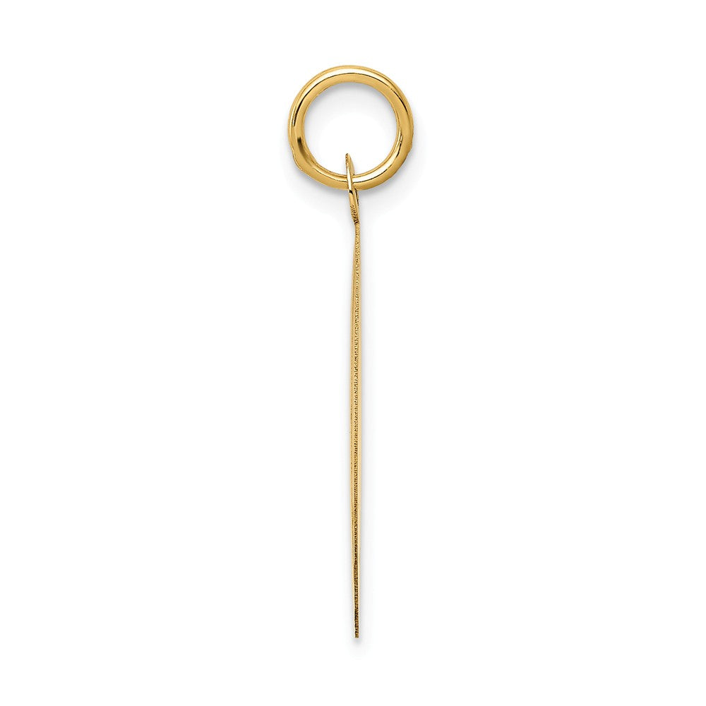 Alternate view of the 14k Yellow Gold Happy Anniversary Disc Charm or Pendant, 20mm by The Black Bow Jewelry Co.