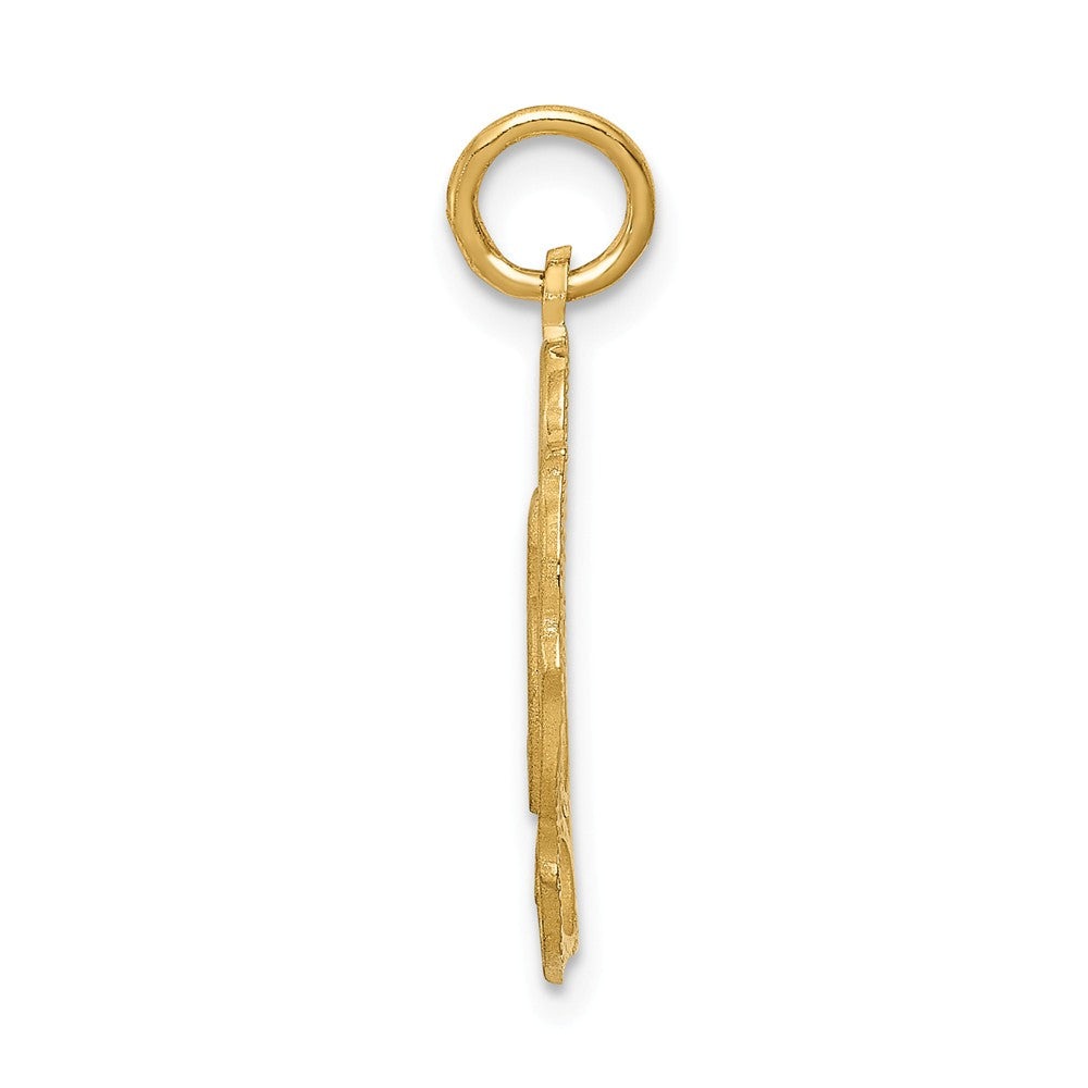 Alternate view of the 14k Yellow Gold 25 Oval Charm or Pendant, 14mm by The Black Bow Jewelry Co.