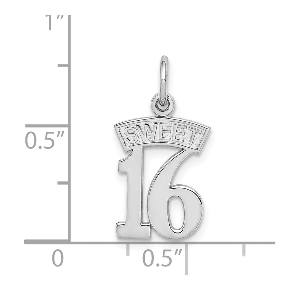 Alternate view of the 14k White Gold Sweet 16 Charm or Pendant, 10mm by The Black Bow Jewelry Co.