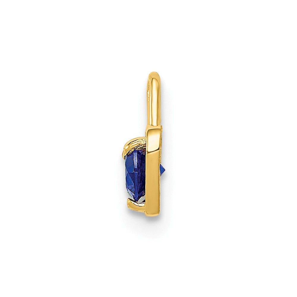 Alternate view of the Sept Synthetic Sapphire 14k Yellow Gold Heart Pendant Enhancer, 5mm by The Black Bow Jewelry Co.