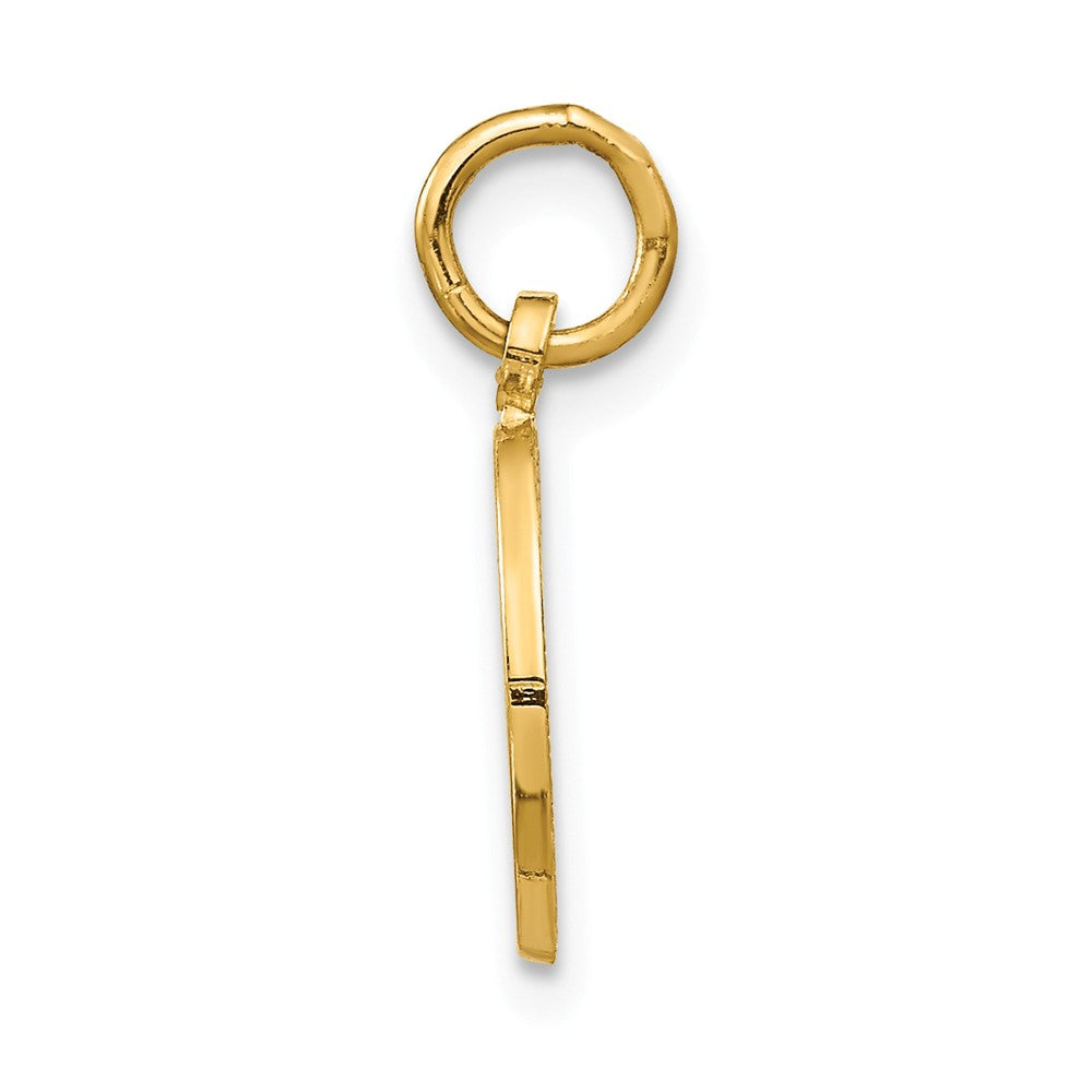 Alternate view of the 14k Yellow Gold Graduation Circle Charm or Pendant, 12mm by The Black Bow Jewelry Co.
