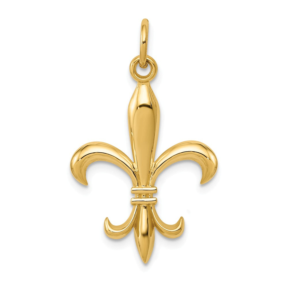 Alternate view of the 14k White or Yellow Gold 2D Fleur De Lis Pendant, 18mm (11/16 inch) by The Black Bow Jewelry Co.