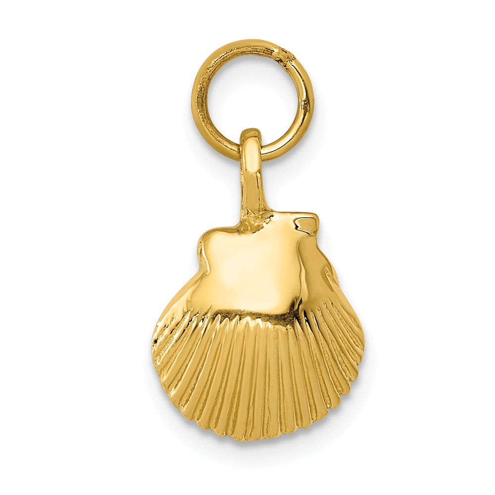 14k Yellow Gold Open Back Seashell Charm or Pendant, 10mm (3/8 Inch), Item P26896 by The Black Bow Jewelry Co.