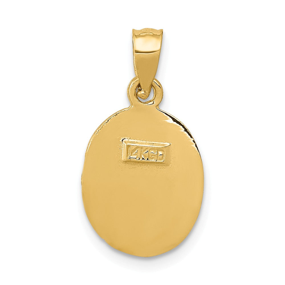 Alternate view of the 14k Yellow Gold Satin &amp; Diamond-Cut Oval Baptism Pendant, 10 x 18mm by The Black Bow Jewelry Co.