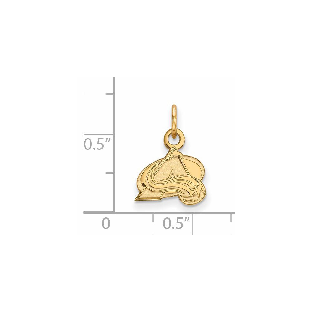 10k Yellow Gold NHL Colorado Avalanche XS (Tiny) Charm or Pendant