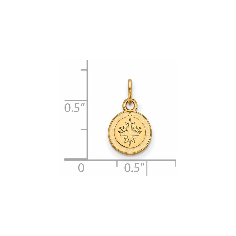 Alternate view of the 10k Yellow Gold NHL Winnipeg Jets XS (Tiny) Disc Charm or Pendant by The Black Bow Jewelry Co.