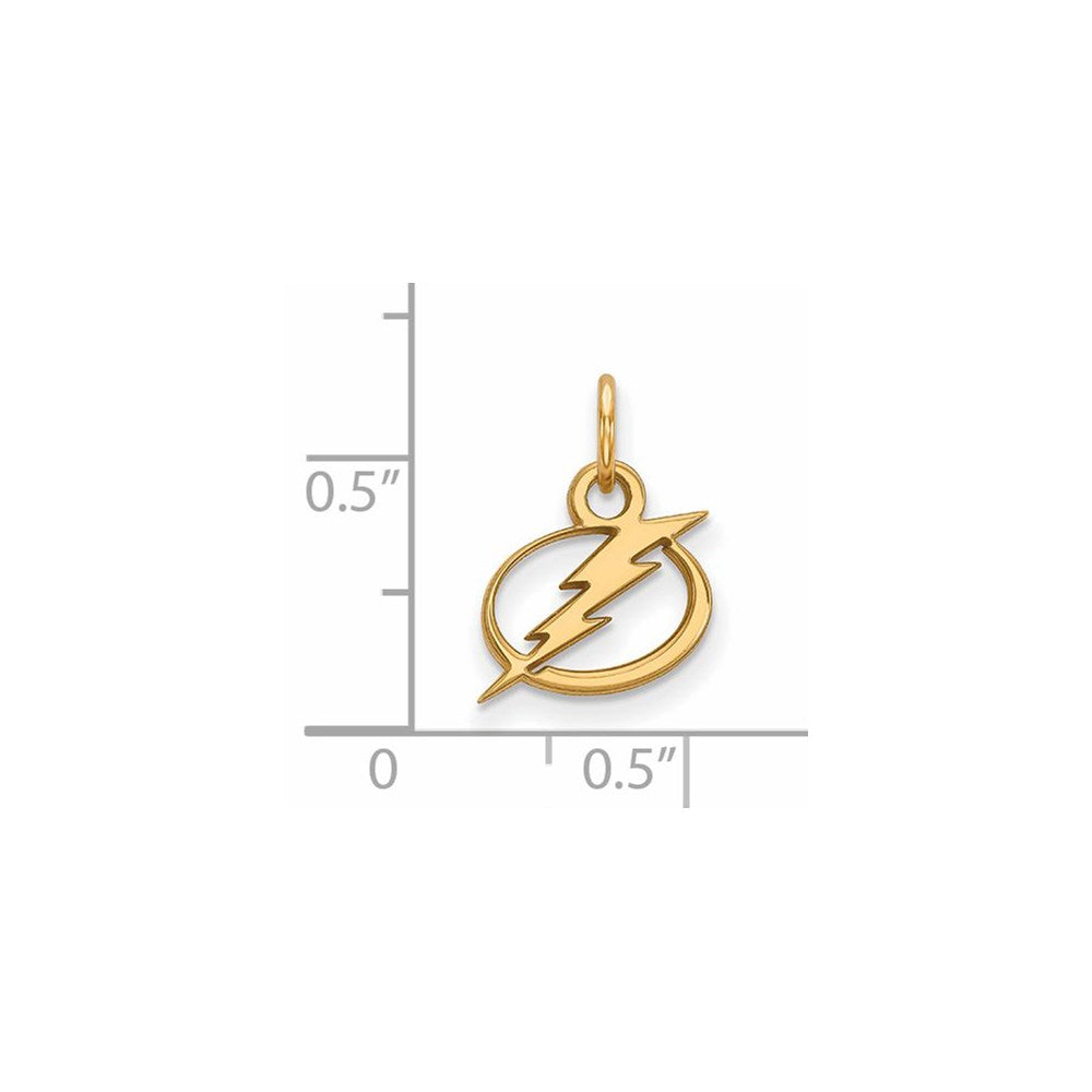 Alternate view of the 10k Yellow Gold NHL Tampa Bay Lightning XS (Tiny) Charm or Pendant by The Black Bow Jewelry Co.