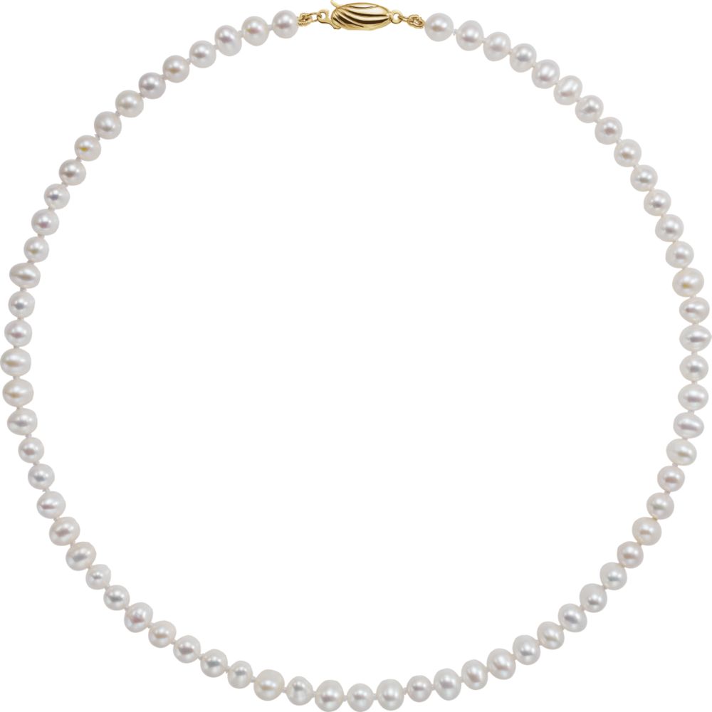 Alternate view of the 5.0-5.5mm, White FW Cultured Pearl &amp; 14k Yellow Gold Necklace, 16 Inch by The Black Bow Jewelry Co.