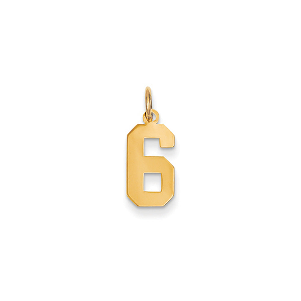 14k Yellow Gold, Athletic Collection, Small Polished Number 6 Pendant, Item P10390-6 by The Black Bow Jewelry Co.